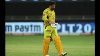 MS DHONI |  CSK