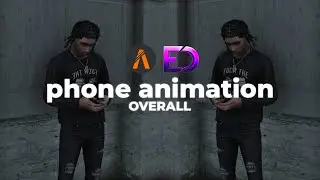 Echo Phone Animation Overall | Standalone | FiveM Animation