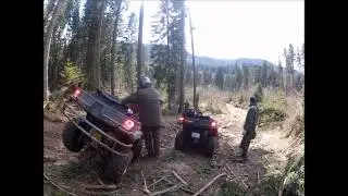 Atv eala de aprilie 3