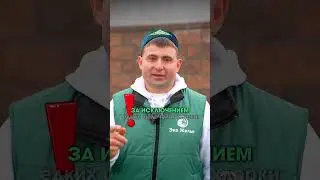 Топ 10 лучших бактерий для септиков💥