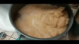 How to Can Your Own Homemade Apple Sauce with No Preservatives
