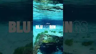 Gilchrist Blue Springs