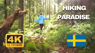 Glaskogen National Park in Sweden - Hiking & Kayaking Paradise
