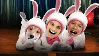 The Hop - JibJab Easter eCard
