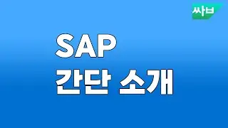 SAP 간단소개