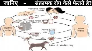संक्रामक रोग कैसे फैलते है?