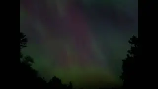 backyard curtains 16x