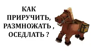 Как приручить лошадь в майнкрафте? Как оседлать лошадь в майнкрафте? Как размножать лошадей?
