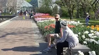 Brooklyn Botanical Garden in Brooklyn, NY [4K Ultra HD]