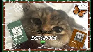Обзор на SKETCHBOOK