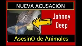 Nueva Acusación con PRUEBAS - Johnny Deep  ¿Asesin0 de Animales?