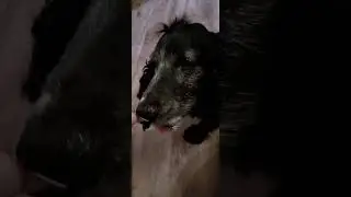 Мороженое в жару для ДЖЕССИ!!!