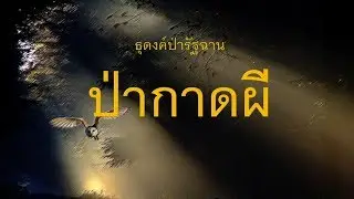 ๑๒.ป่ากาดผี .. ธุดงค์ป่า