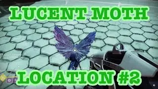 Destiny 2 | LUCENT MOTH LOCATION #2 - APOTHECARY