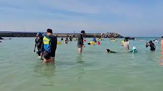 Пляж 월정리해수욕장 на Чеджудо