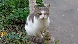Октябрь на исходе