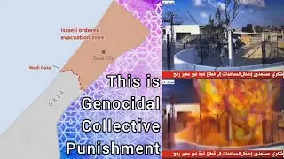 More Information About Gaza