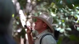 Cairns to Undara