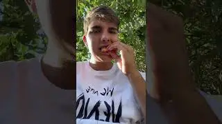 Isprobavam škampe na moru #bdrikic04 #humor #viral #more
