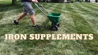 Why You SHOULD be Using Iron "Supplements" for a Greener Lawn.