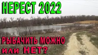 Нерест 2022 - рыбачить можно или нет?