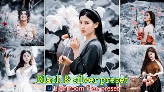 Black And Silver Lightroom Presets || Lightroom Photo Editing || Adobe Lightroom Presets Free
