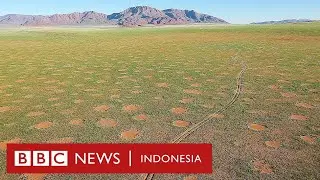 Mengungkap misteri crop circle di Afrika: Dibuat alien atau semburan api naga? - BBC News Indonesia