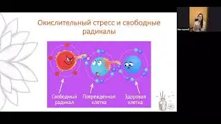 Долгожитель