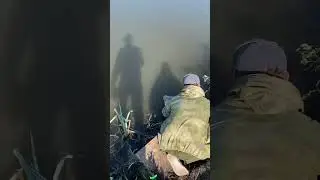 ловля карпа,сазана,амура #carpfishing #рыбалка