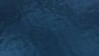 The Sims 3 Roads and Water