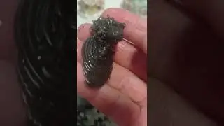 как же в праздник вам не навредить?? сними церковную магию.