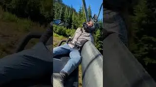 Park Rat 