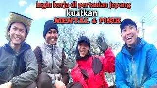 saat pulang kerja,bonus pemandangan salju di atas gunung@dedianglersp1375