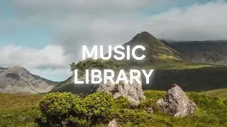 Summer Martin & AXM - Nalu (Music Library - NoCopyrightMusic)