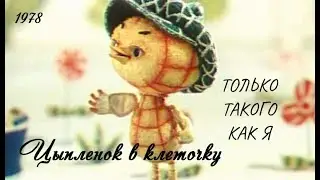 Цыпленок в клеточку.  Только такого как я.
