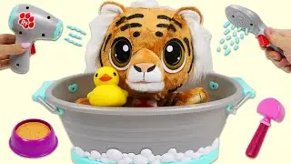Little Tikes Rescue Tiger Gets Groomer After Adoption!