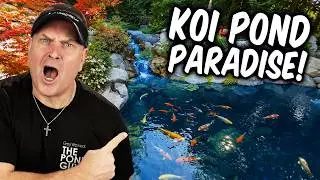 Backyard Resort for Grandma! (Koi Pond, Pool & Hot Tub Tour)