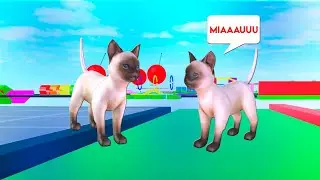 PASSEI um OBBY no ROBLOX, MAS SOU UM GATO! 🐈