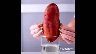 Лайфхаки с зубной пастой