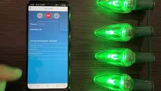 Light Stream Contractor Series - Pair Switches and Bulbs