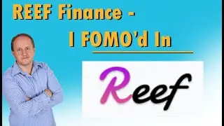 Reef Finance A Quick Look - I'm FOMOing In