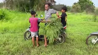 Cari pakan kambing bersama bocil