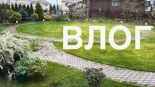 ВЛОГ. Много винтажных покупок и подарков