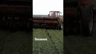 Посевная началась... Наше новое поле #shorts