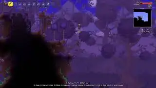Expert Terraria Beginning