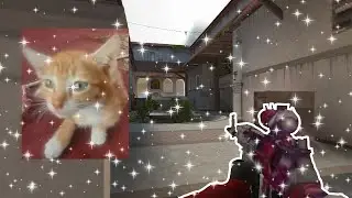 ПОЧЕМУ КОТИКАМ КОМПЬЮТЕРЫ НЕ НРАВИТСЯ 🔥❤