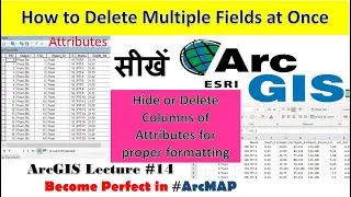 ArcGIS Tutorial: 14 Delete Multiple Fields at Once OR how to delete attributes columns