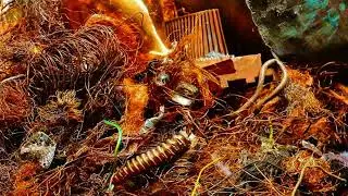 Медный микс (несортовая) - прием, характеристики лома - [компания Интерлом]