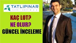 TATLIPINAR ENERJİ 