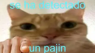se ha detectado un pajín😡